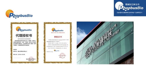 携手创新 共筑健康屏障——讯智疆科技成功召开福博斯品牌消毒液产品新闻发布会
